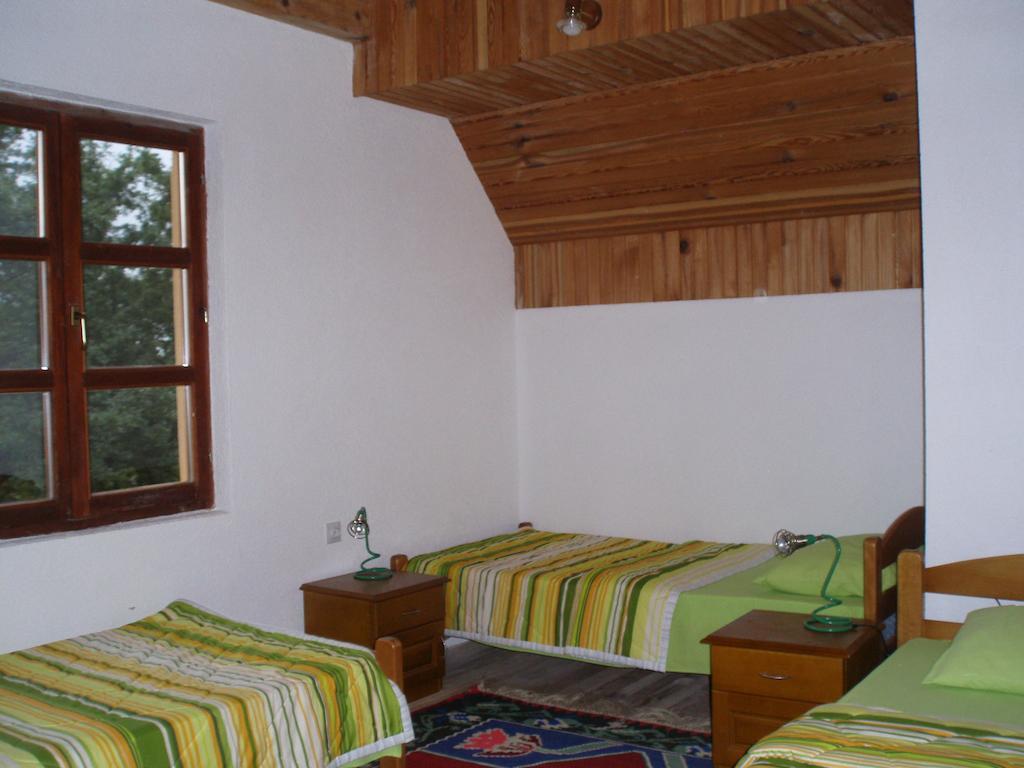 Guest House Tara Canyon 플레블라 객실 사진