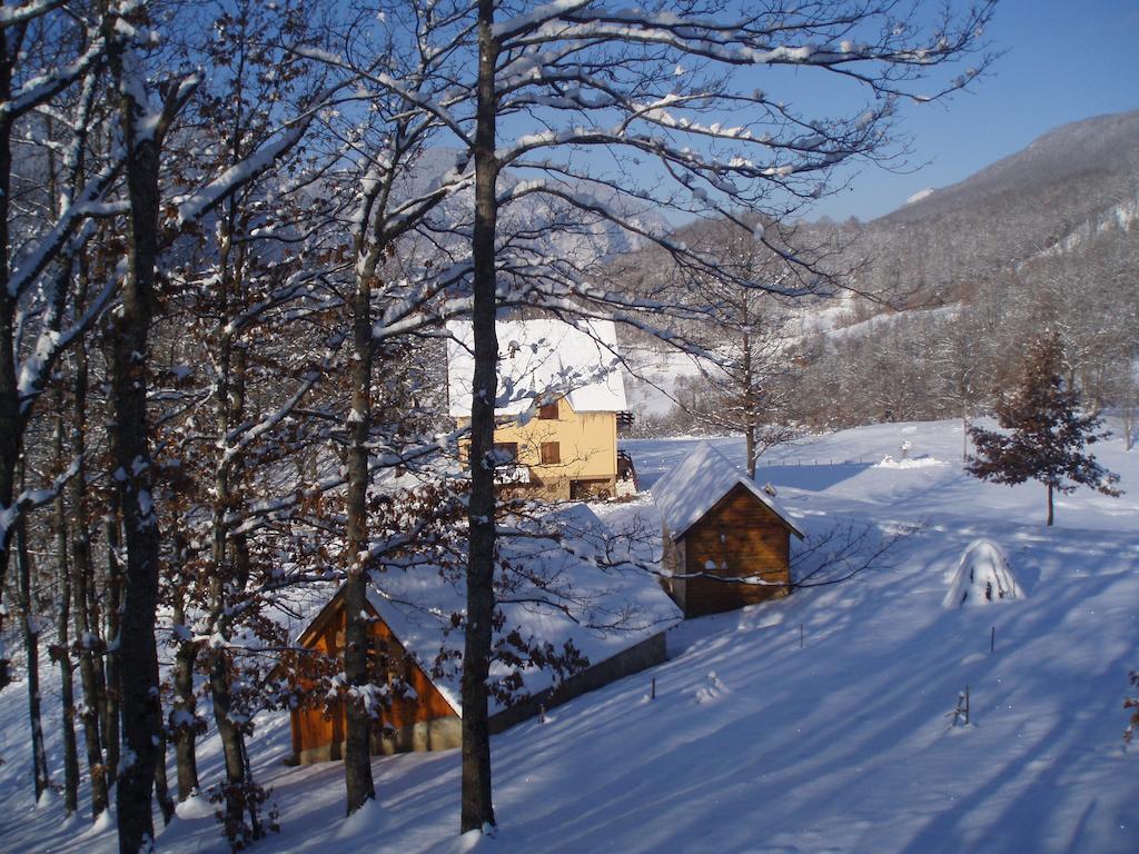 Guest House Tara Canyon 플레블라 외부 사진